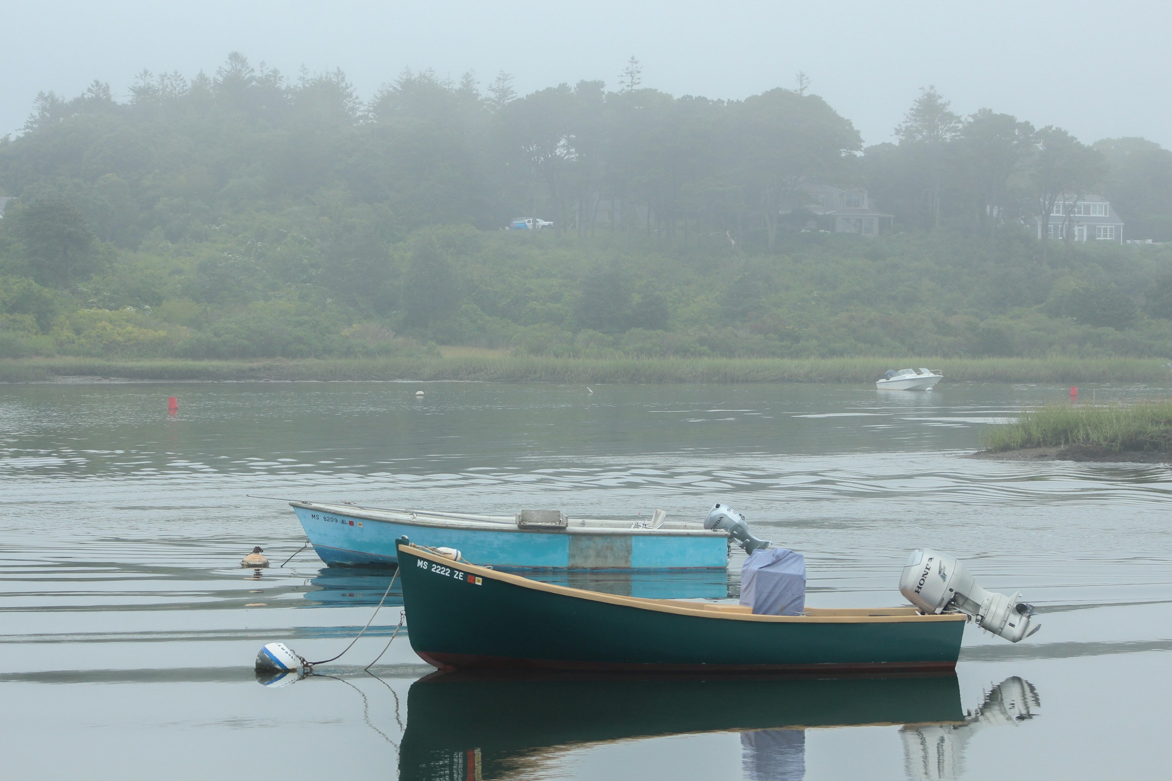 Fog rolls into cove, Cape Cod, Chatham, MA. Photo by Susan Lindberg on Unsplash